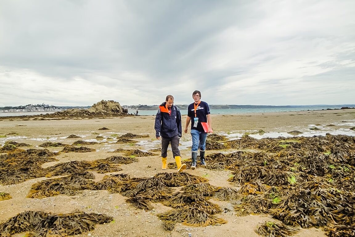 la peche a pied un incontournable sur les plages du finistere