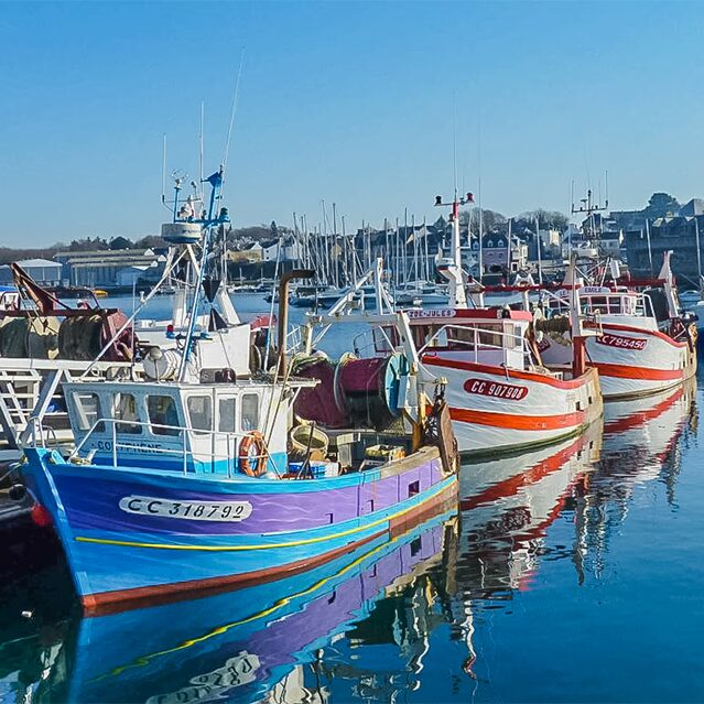 le port de peche anime et les delices maritimes