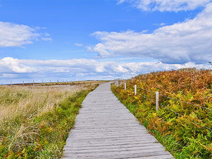 Les balades autour du camping