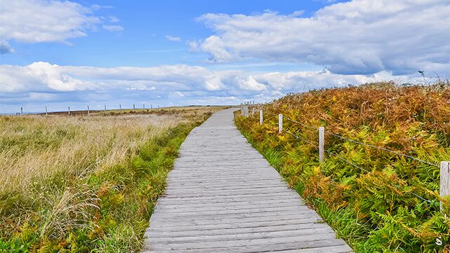 magnifiques paysages qui entourent notre camping a benodet
