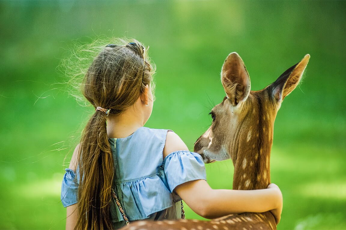 parc animalier du quinquis a clohars carnoet
