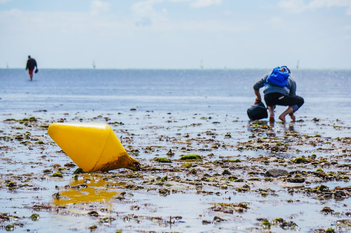 pratique de la peche a pied