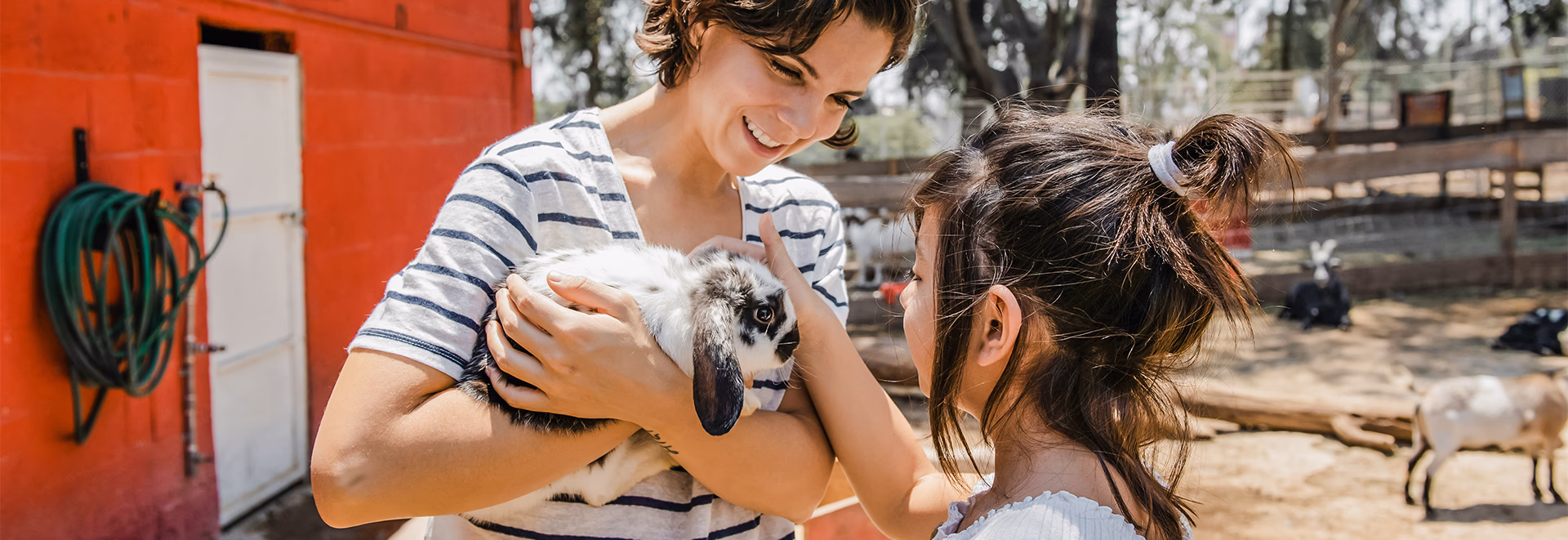 tourisme sorties visites familiales finistere